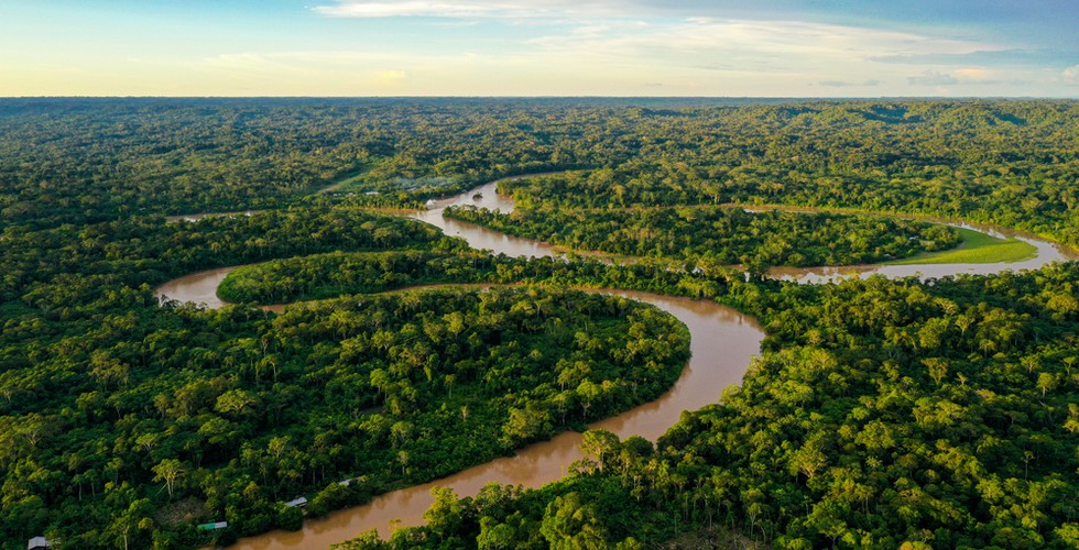Aerial view of the Xingu river snaking through the Amazon rainforest