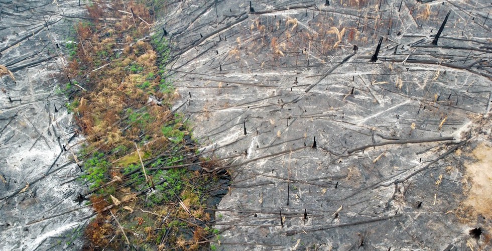 Aerial view of a section of scorched Amazon rainforest in Brazil. The land is mostly barren with only a few trees left standing.