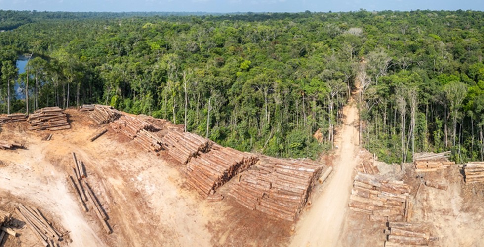 Aerial view of deforestation in the Amazon rainforest. A road is visible snaking through the trees.